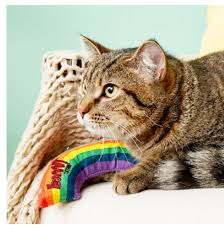YEOWWW Catnip Rainbows