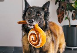P.L.A.Y Pup Cup Cafe Cinnamon Roll Dog Toy