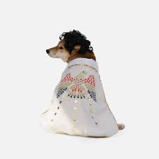 Silver Paw Elvis Dog Costume XS/S