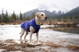 Ruffwear Quinzee Jacket Large Huckleberry Blue