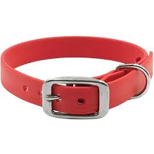 Petoji Adventure Dog Collar Orange XS