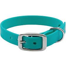 Petoji Adventure dog Collar Teal Medium