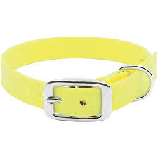 Petoji Adventure dog Collar Yellow Medium