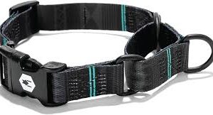 WolfGang NightOwl Martingale XLarge dog collar
