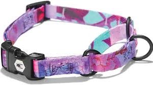WolfGang DayDream Martingale Small dog collar