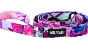 Wolfgang Dog Leash Daydream Small (3/8" x 4')