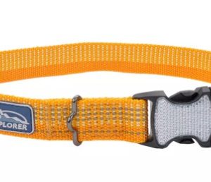 Coastal K9 Explorer Collar Desert Orange Small (10" 14")