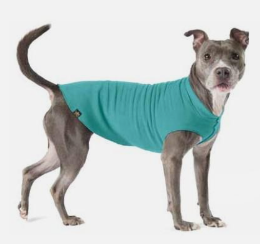 Gold Paw Fleece 8 Turquoise