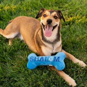 Huxley & Kent Lulubells's Power Plush Bone Joy Vey