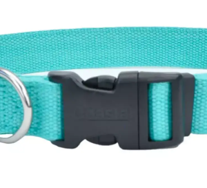 Coastal Soy Collar Mint Extra Small (8" 12")