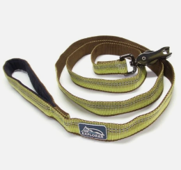 Coastal K9 Explorer Reflective Leash Green (1" x 6')