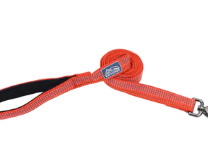 Coastal K9 Explorer Reflective Leash Canyon (5/8" x 6')