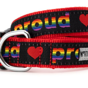 The Worthy Dog Proud Pride Dog Collar Extra Small
