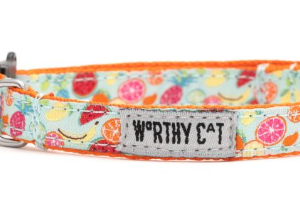The Worthy Cat Tutti Frutti Cat Collar One Size (10")