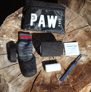Trail Scout Paw Pack