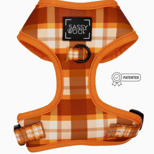 Sassy Woof Spiced Harvest Dog Harness Extra Extra Large