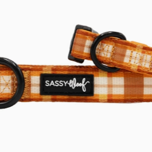 Sassy Woof Spiced Harvest Dog Collar Small