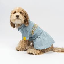 Silver Paw Ocean Denim Dog Dress Medium