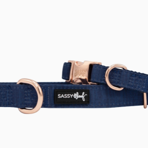 Sassy Woof Twilight Dog Collar Medium