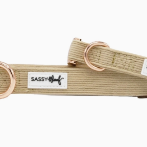 Sassy Woof Best Pup Corduroy Dog Collar Small