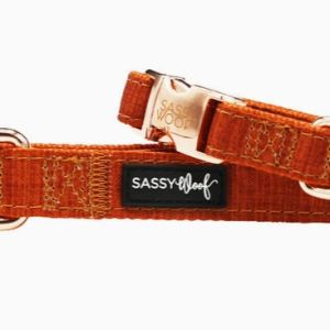Sassy Woof Foxy Dog Collar Extra Small