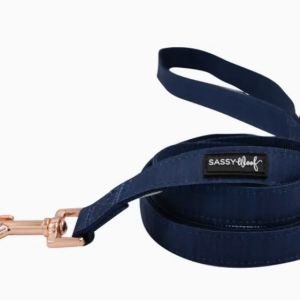 Sassy Woof Twilight Dog Leash
