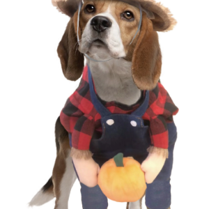 Show & Tail The Old Mcdog Pet Costume Extra Small
