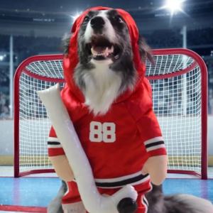 Show & Tail The Stanley Pup Pet Costume