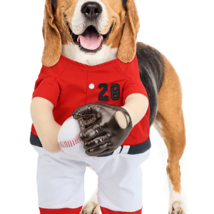 Show & Tail The Home Ruff Pet Costume