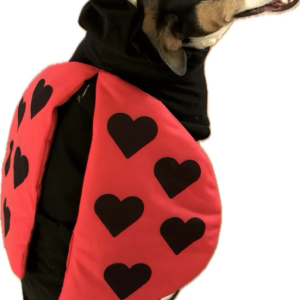 Show & Tail Lady Bug Pet Costume Extra Small