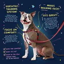 2Hounds No Pull Harness 1" LG Red