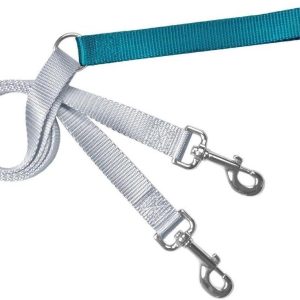 2 Hounds Training Dog Leash Teal 1"
