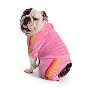 Fabdog Velour Jogger Pink 22"