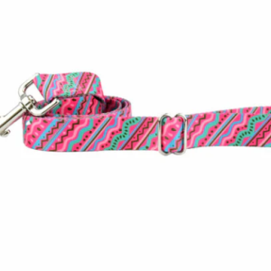 2 Hounds Design Earthstyle Welcome Back 8o's 4' Dog Leash 1"