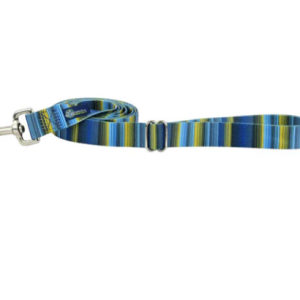 2 Hounds Design Earthstyle Clyde 4' Dog Leash 1"