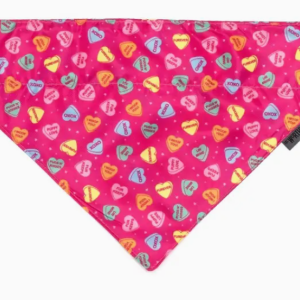 The Worthy Dog Bandana Puppy Love Large