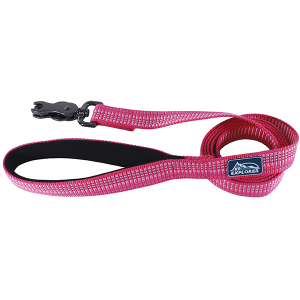 K9 Explorer Pink reflective leash