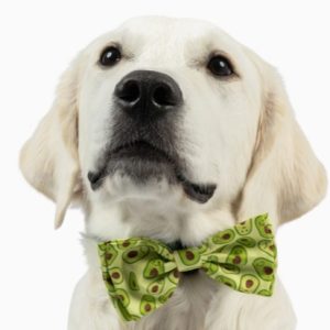Huxley & Kent Pet Bow Tie Happy Avocado Small