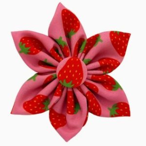 Huxley & Kent Pet Pinwheel Strawberries Large