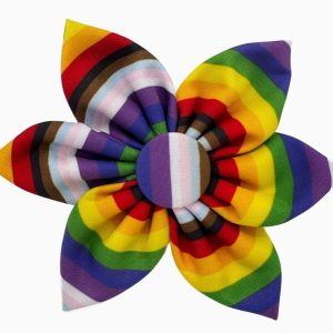 Huxley & Kent Pet Pinwheel All Together Large