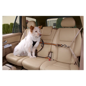 Kurgo Auto Zip Line Leash Black