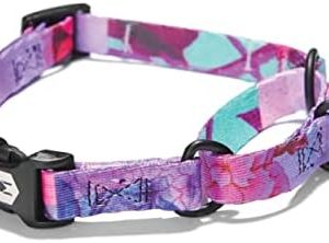 WolfGang Martingale Dog Collar DayDream Medium