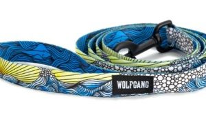 Wolfgang Dog Leash DawnPatrol 4' x 3/8"