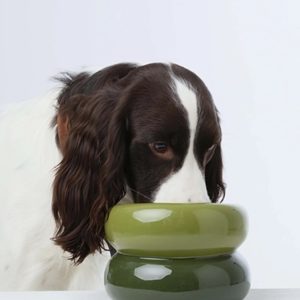 PEHOM Souffle Pet Bowl Avocado