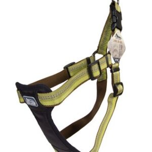 Coastal K9 Explorer Harness Green Small (16" 24")