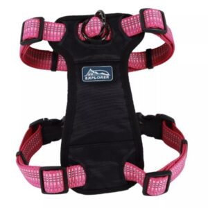 Coastal K9 Explorer Harness Blossom Large