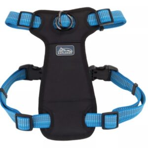 Coastal K9 Explorer Harness Lake Blue Extra Small