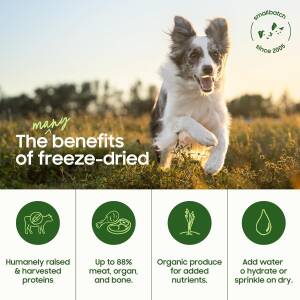 Smallbatch Pets Freeze Dried Raw Dog Food – Beef Recipe – 20oz Small Bites – Grain Free, High Protein, Complete Meal or Topper – Made in USA with Organic Produce & Humanely Raised (20 oz, Beef)