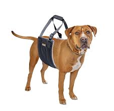 Mighty Paw Dog Lift Harness Small