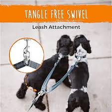 Mighty Paw Double Dog Leash 16 24in Rope Handle